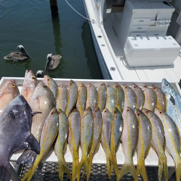 Lots of action on the reef! Made the rods bend and some great memories.