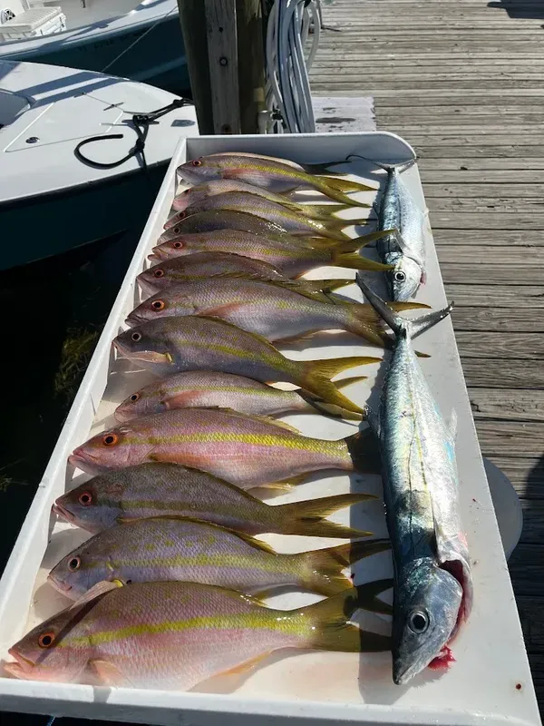 Snapper Dinner!