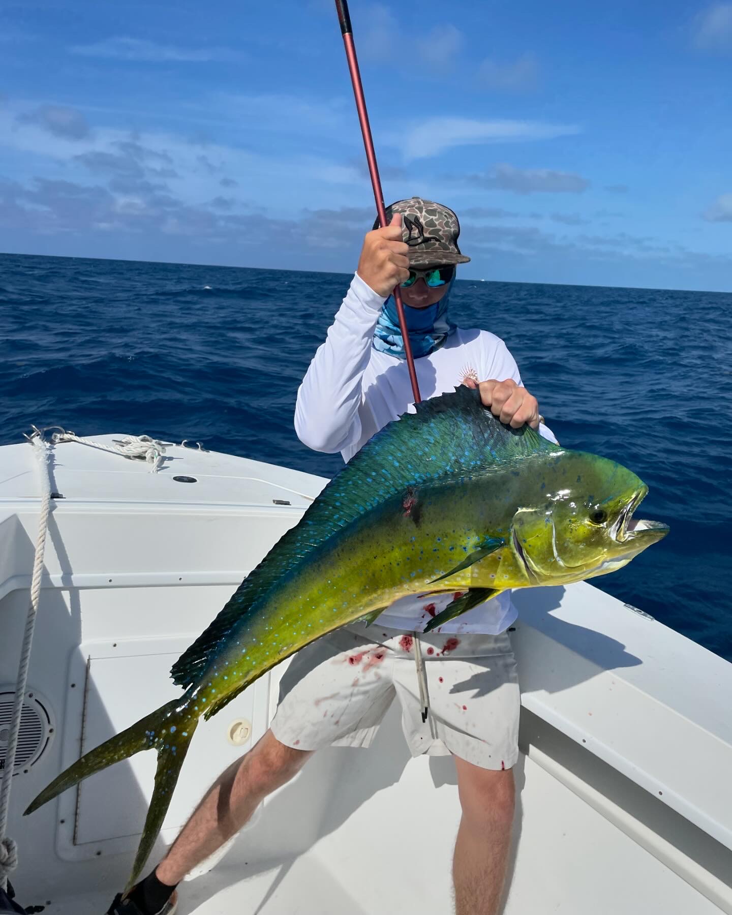 Mahi mahi caught offshore