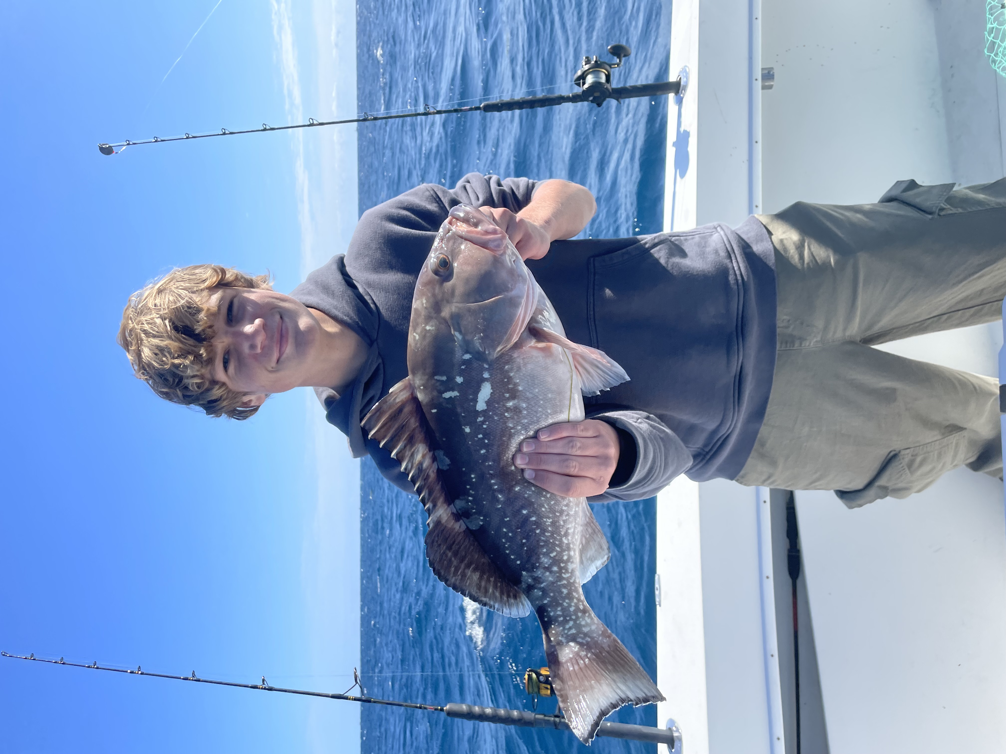 Yellowtail snapper caught reef fishing