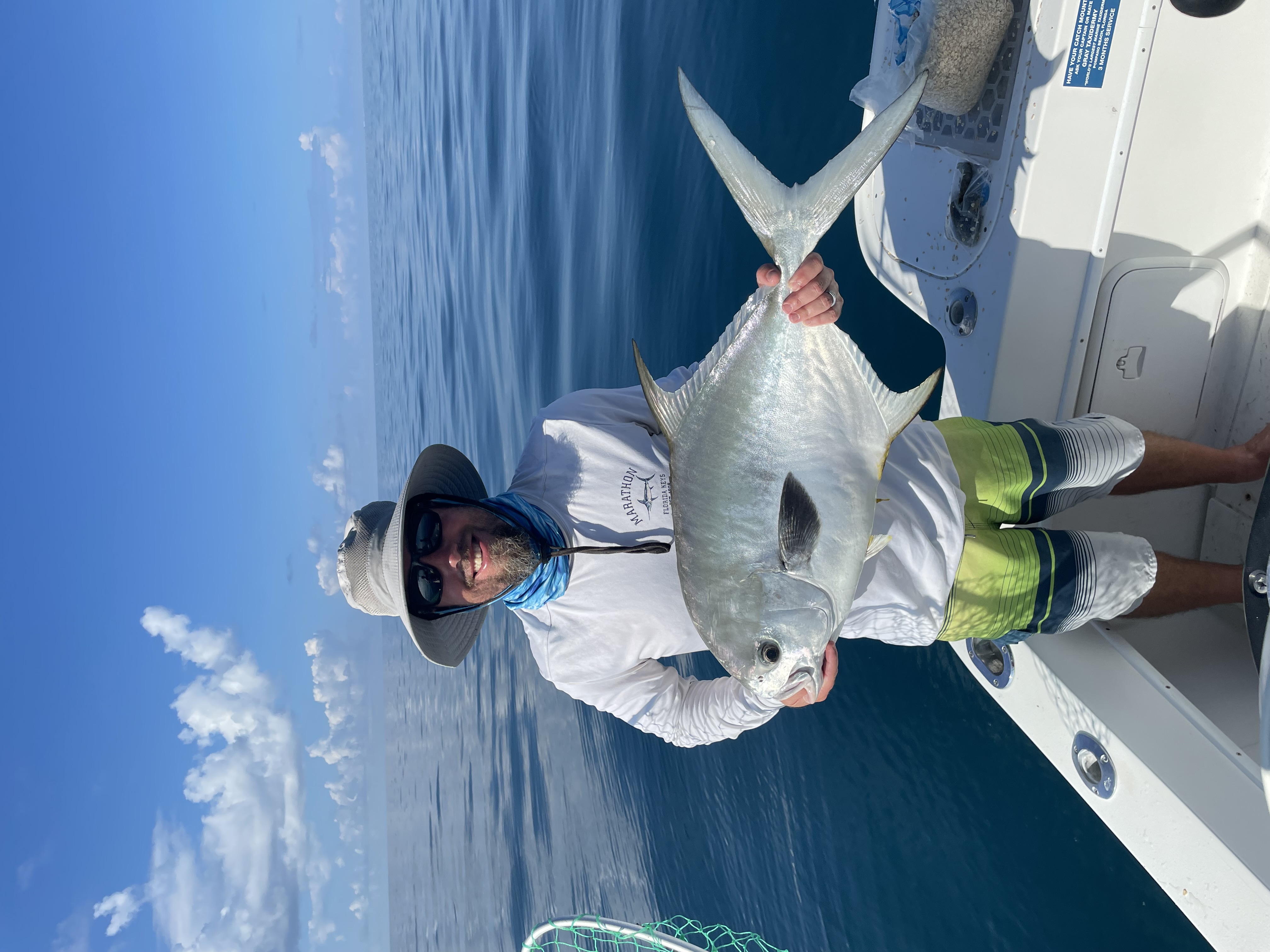 Large grouper from wreck